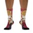 tanuki socks v1